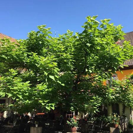 Zum Storch 3* Prichsenstadt