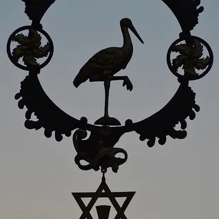 بيت ضيافة Zum Storch بريكسنشتات